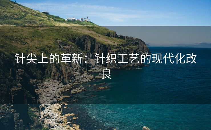 针尖上的革新：针织工艺的现代化改良