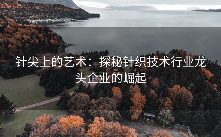 针尖上的艺术：探秘针织技术行业龙头企业的崛起